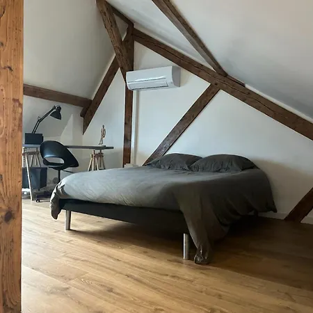 Appartement La Forge - Very Spacious Duplex *
